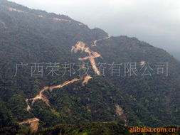 廣西榮邦投資有限公司 重有色金屬礦產(chǎn)產(chǎn)品列表與市場(chǎng)前景